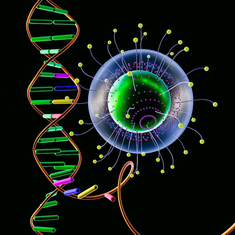 CGI image of brightly colored microscopic cells and DNA strand against a black background